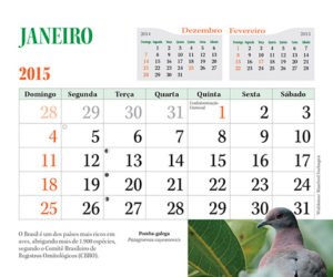 calendario 2015 aves7