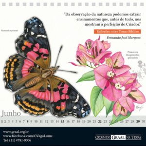 calendario ordem graal q16 f2306ec88f