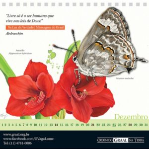 calendario ordem graal r28 06009ccc26