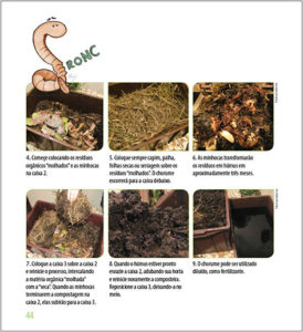 horta escolar p1