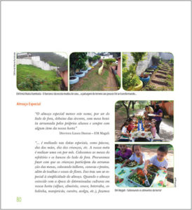 horta escolar p3
