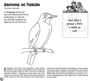 turma flink aves brasileiras p2